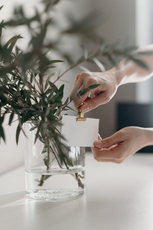 Easy Ways to Add Nature to Your Workspace for a Calmer, Happier Day